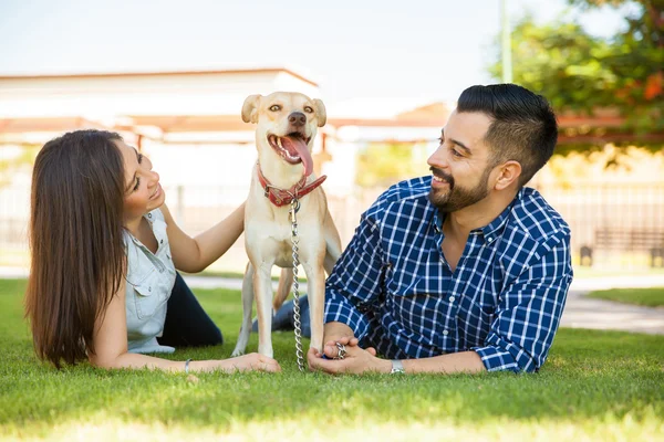 Dog owners relaxing — Stock Photo, Image