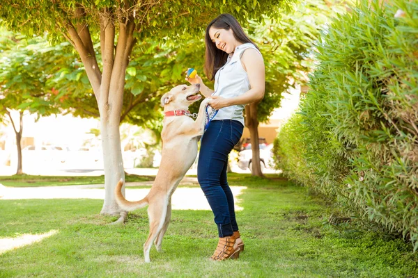 Женщина играет в мяч со своей собакой — стоковое фото