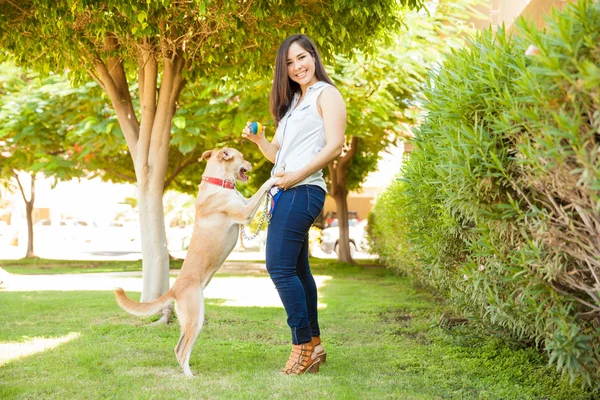 Mulher jogando bola com seu cão — Fotografia de Stock