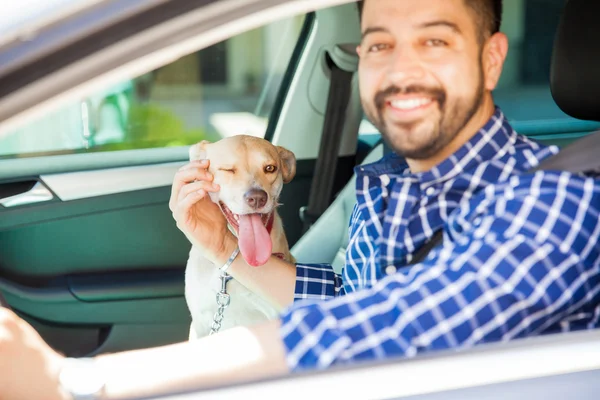 Man köra en bil med sin söta hund — Stockfoto