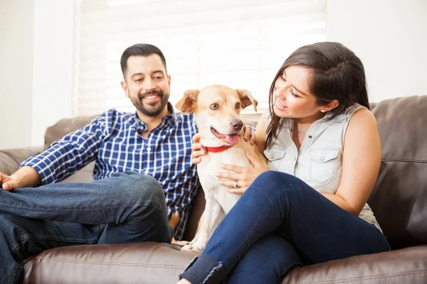 Giovane coppia accarezzare il loro cane — Foto Stock