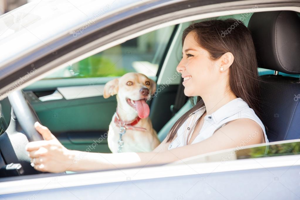 woman driving a car with her dog