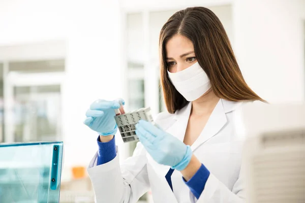 Química feminina a fazer análises ao sangue — Fotografia de Stock