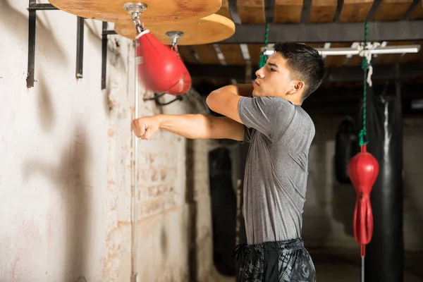 Treinamento boxeador masculino com saco de velocidade — Fotografia de Stock