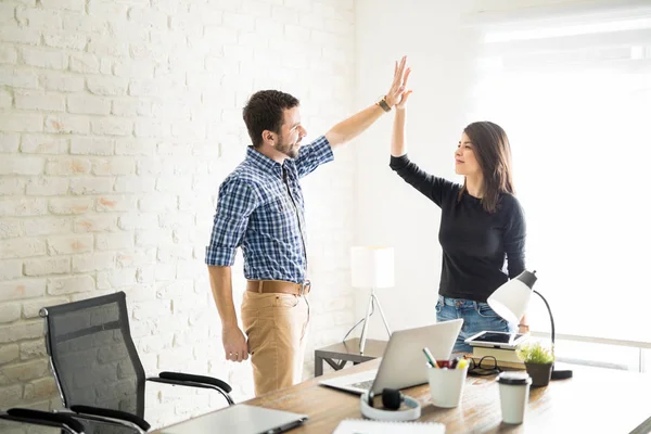 Colegas celebrando um trabalho bem feito — Fotografia de Stock