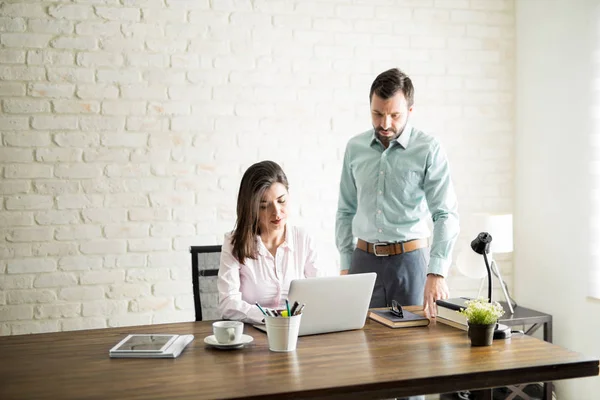 Latin erkek meslektaşı denetleme