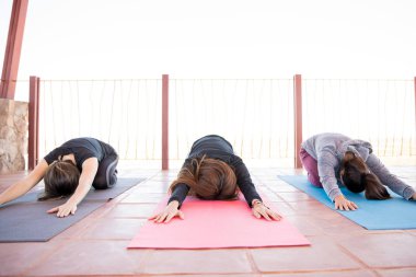 Yoga mat üzerinde oturan ve ileri yoga sınıfında uzanmış eller ile bükme üç genç kadın grubu