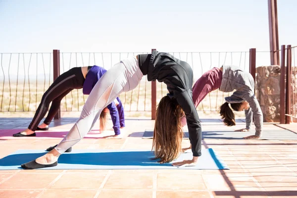 Group of young women arching their backs and trying out a upward bow yoga pose in fitness club