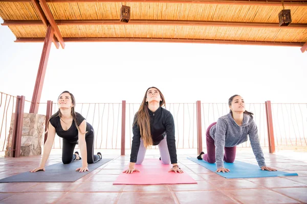 Retrato Grupo Mujeres Hispanas Haciendo Unas Interesantes Poses Yoga Clase — Foto de Stock