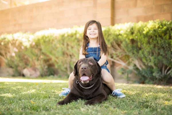 Neşeli Sevimli Küçük Kız Çikolata Labrador Köpeği Sırtına Oturup Zevk — Stok fotoğraf