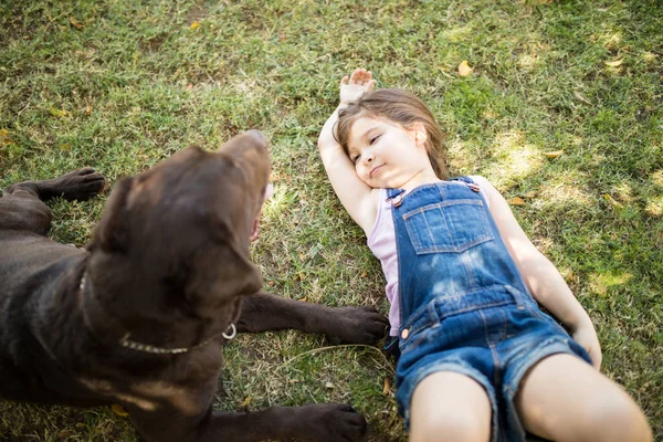 Zamyšlená Dívka Malé Dítě Odpočívat Trávě Při Pohledu Čokoládový Labrador — Stock fotografie