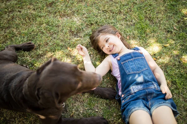 芝生の上で休んでいる間遊び気分で犬を見て笑みを浮かべて魅力的な少女 — ストック写真