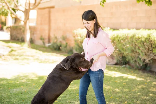 Веселая Молодая Женщина Розовой Рубашке Синих Джинсах Поддерживает Собаку Ходить — стоковое фото