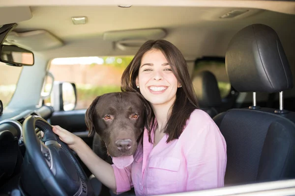 Smiling Young Woman Sitting Driver Seat Pet Chocolate Labrador Car — Stock Photo, Image
