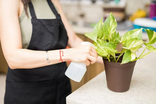 Female Maid Hand Sprinkling Water Flower Pot Kitchen — Stock Photo, Image