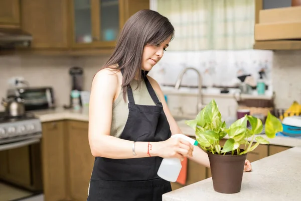 Junger Botaniker Besprüht Pflanze Küche Mit Pestizid — Stockfoto