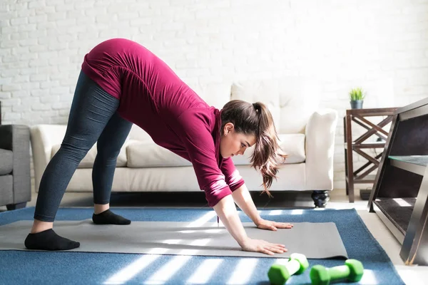 有吸引力的孕妇在家练狗时躺在练习垫上的侧视图 — 图库照片