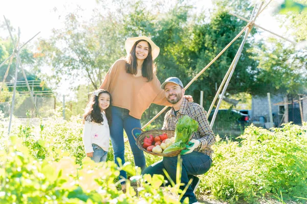 Familia Latina Feliz Cosechando Verduras Orgánicas Jardín Durante Día Soleado —  Fotos de Stock