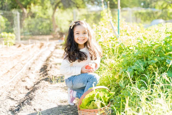 夏の間 庭で新鮮な野菜と一緒に座って笑顔の女の子 — ストック写真