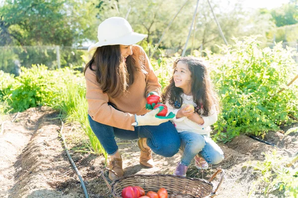 Mother Daughter Having Fun While Harvesting Vegetables Garden — 스톡 사진