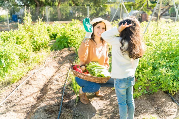 快乐的女人在花园里收割蔬菜的时候送给女儿五块钱 — 图库照片