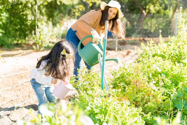 夏天帮助母亲在农场浇灌植物的女儿 — 图库照片