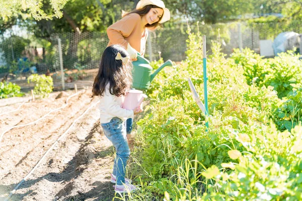 野菜の庭で母親と一緒に自家栽培植物に水をやる女の子 — ストック写真