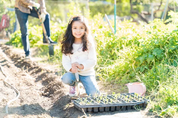 Sonriendo Linda Chica Con Herramienta Jardinería Por Bandeja Plántulas Granja — Foto de Stock