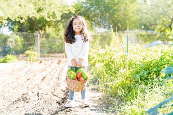 晴れた日の間に農場に立っている新鮮な有機野菜とヒスパニック系の女の子 — ストック写真