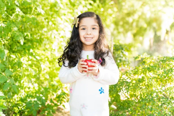 Roztomilé Usmívající Hispánská Dívka Drží Čerstvý Paprika Zatímco Stojí Farmě — Stock fotografie