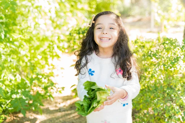 野菜の庭に立っている間に有機レタスを保持幸せな女の子 — ストック写真