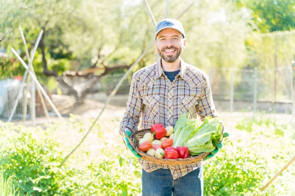 Smiling farmer with homegrown vegetables in basket standing at farm on sunny day