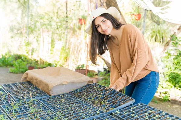 Young Hispanic Woman Seedlings Tray Standing Farm — 스톡 사진