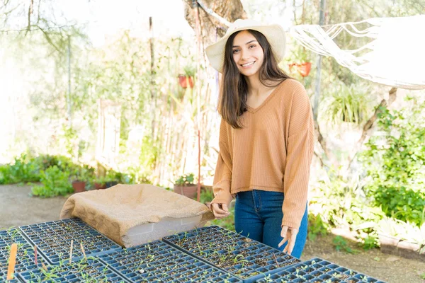 Smiling Young Female Farmer Seedlings Tray Standing Vegetable Garden — 스톡 사진