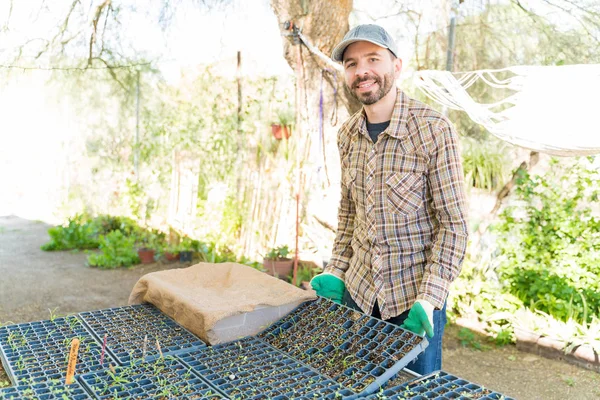 Latinský Zemědělec Drží Sazenice Zásobník Zatímco Stojí Zeleninové Zahradě — Stock fotografie