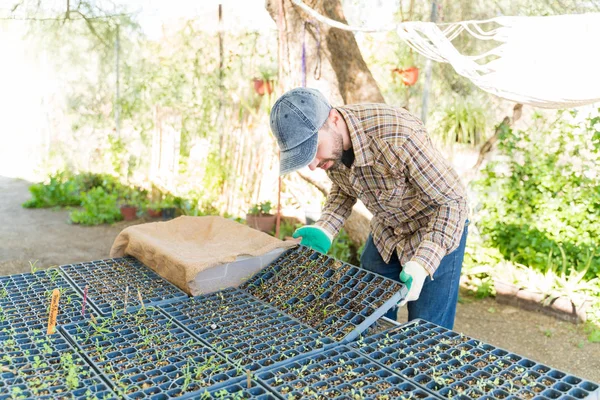 植物園で働いている間 ヒスパニック男性農家は苗トレイを調べる — ストック写真