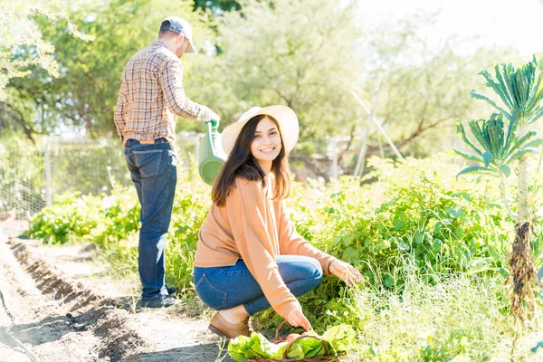 Усміхнена Жінка Збирає Органічні Овочі Чоловік Поливає Домашні Рослини Фермі — стокове фото