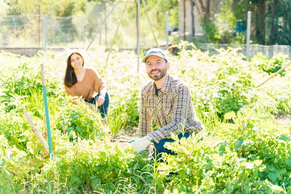 夏の間に農場で女性と野菜を収穫する男の肖像画 — ストック写真