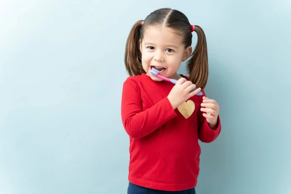 かなり3歳でポニーテールブラッシング彼女の歯に歯ブラシでスタジオ — ストック写真