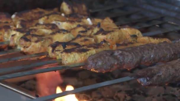 Kebabs cooking on a grill fire — Stock Video