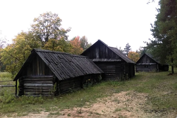 Stare drewniane domy w lesie jesienią — Zdjęcie stockowe