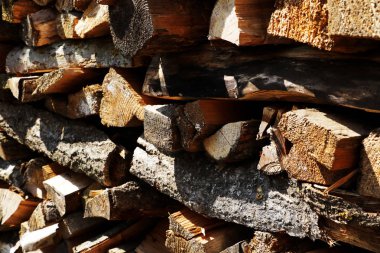 A yığın-in odun ağaçlarının farklı türlerin yakın çekim
