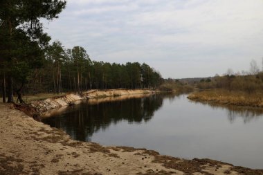 Nehir boyunca güzel bir gökyüzü ile orman dik banka