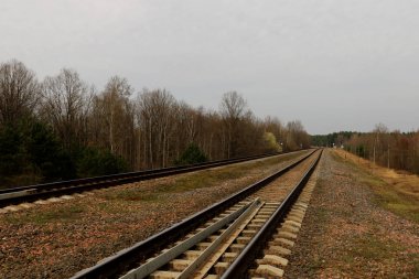 Hangi ile küçük bulutlar ağaçlar büyümeye bir tren. Arka plan
