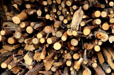 yakacak odun farklı boyutlarda görünümünü birlikte yığılmış