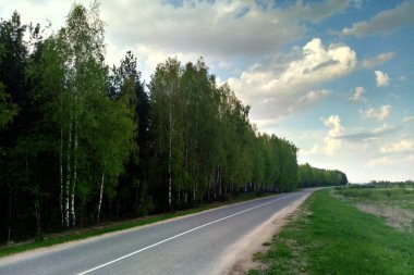 Gökyüzü ve yolun içinde güzel bir orman büyür, bir görünüm.