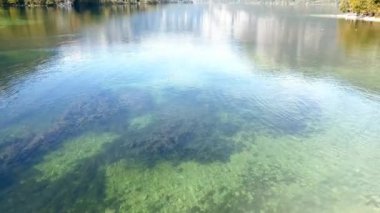 Slovenya 'daki Bohinj kıyı gölü manzarası.