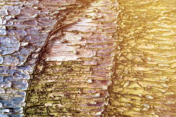 Close-up van een dennenboomschors, natuur — Stockfoto
