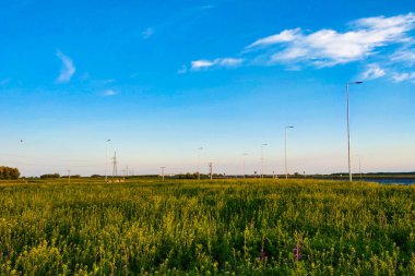 Yeşil bir tarla ve gün batımına yakın mavi bir gökyüzü..