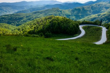 virajlı yol ile yaz günbatımı manzara.